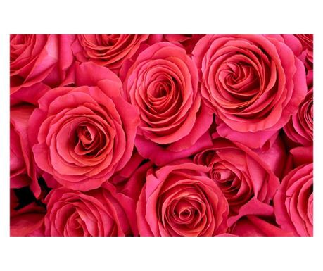 Roze tapete s ružama