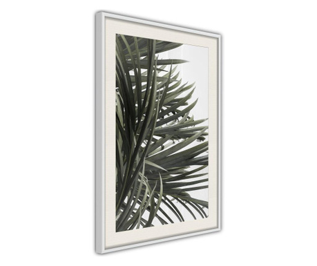 Plakát artgeist - little tropics - bílý rám s passe-partout - 20 x 30 cm