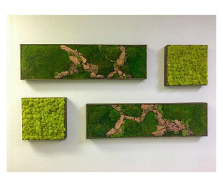Set panouri decorative cu muschi stabilizati plati si licheni stabilizati  80x30 stabilizati