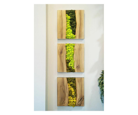 Set panouri de lemn cu licheni stabilizati  40x30 cm
