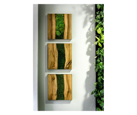 Set panouri de lemn cu licheni stabilizati  40x30 cm