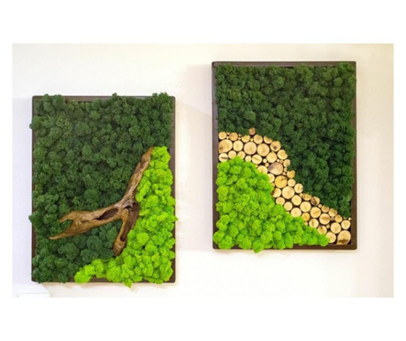 Set 2 tablouri cu licheni stabilizati si decor din elemente naturale  60x50 cm