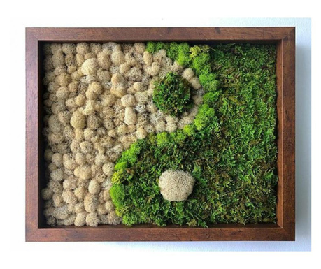 Tablou cu muschi si licheni - model yin si yang  30x20 cm