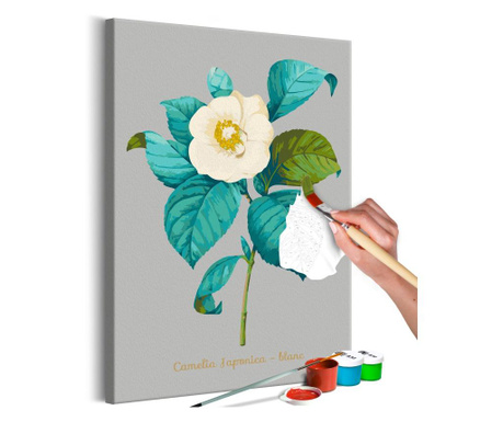 Slika za samostalno slikanje Artgeist - Beautiful Camellia - 40 x 60 cm