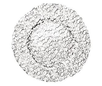 Luigi bormioli Gocce farfurie din sticla, 28 cm