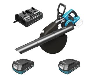 Porszívó, fúvó, levelek, 2 x 2 Ah akkumulátorral, 2x18V Li-ion töltő, kefe nélküli motor, kollektorzsákkal, SAS+ALL, Dedra
