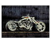 Covor modern, kolibri motocicleta 11185, multicolor, 2300 gr/mp  80x150 cm