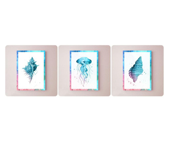 Комплект от три плаката с морски животни – медуза и рапани