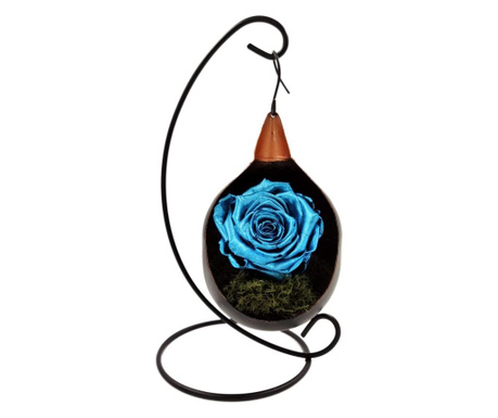 Trandafir natural criogenat biarose wide, albastru metalizat, pe pat de muschi, in fotoliu suspendat