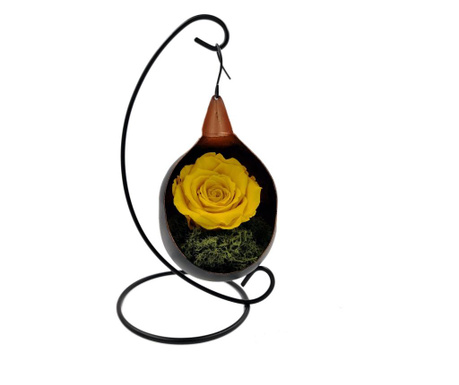 Trandafir natural criogenat biarose wide, galben, pe pat de muschi, in fotoliu suspendat
