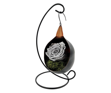 Trandafir natural criogenat biarose wide, argintiu, pe pat de muschi, in fotoliu suspendat