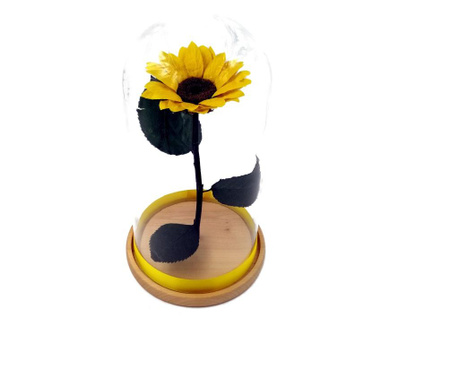 Floarea soarelui naturala criogenata biarose wide, galbena, in cupola de sticla
