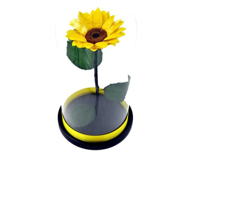 Floarea soarelui naturala criogenata biarose wide, galbena, in cupola de sticla cu baza neagra