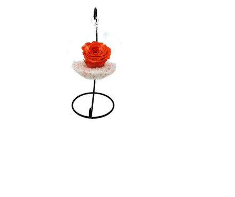 Trandafir criogenat biarose, portocaliu, pe pat de pietricele, in bol de sticla cu bula, pe picior metalic