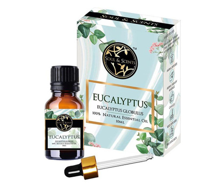 Sada esenciálních olejů Eucaliptus