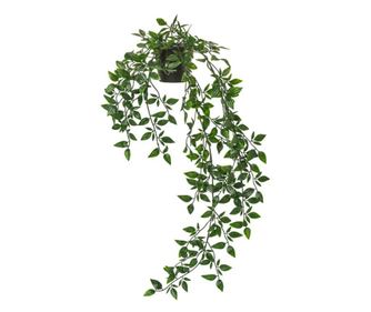 Planta curgatoare artificiala, in ghiveci, pentru decor interior si exterior, 70 cm, verde