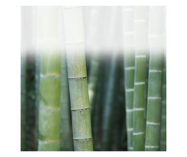 6 db Navaris bambuszszálas törölközőből álló készlet, 25 x 25 cm, 48734.02.06