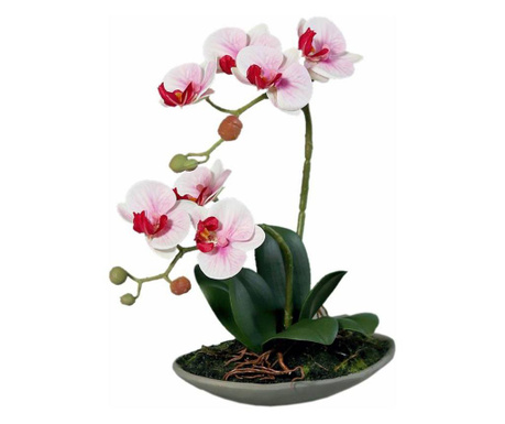 Orhidee artificiala Phalaenopsis alb-roz cu aspect 100% natural 30 cm  30 cm