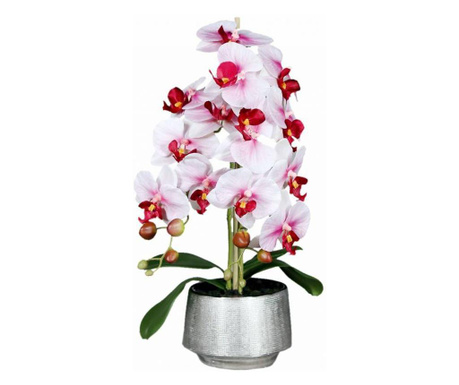 Orhidee artificiala Phalaenopsis alb-rosu in vas ceramic, 60 cm  60 cm