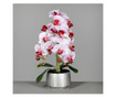 Orhidee artificiala Phalaenopsis alb-rosu in vas ceramic, 60 cm  60 cm