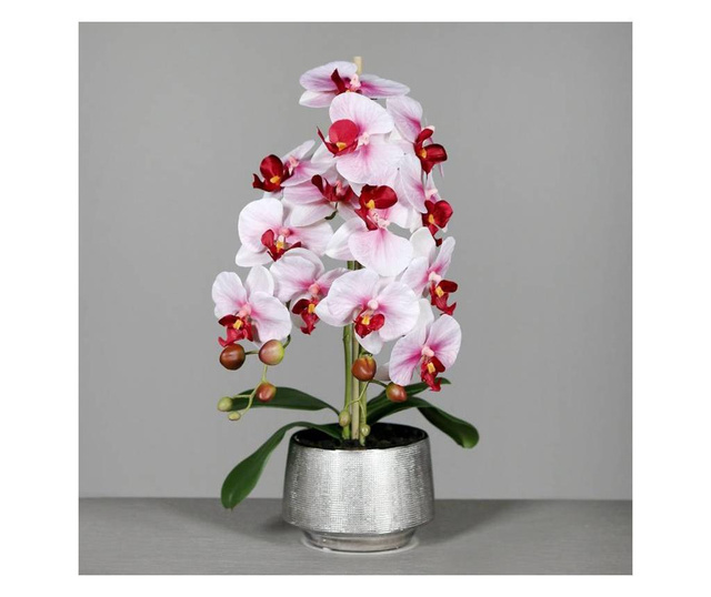 Orhidee artificiala Phalaenopsis alb-rosu in vas ceramic, 60 cm  60 cm