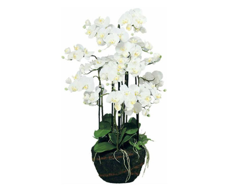 Orhidee artificiala Phalaenopsis alba cu aspect 100% natural in bila de pamant, 110 cm  110 cm