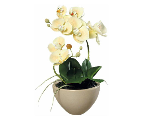 Orhidee artificiala Phalaenopsis crem in vas ceramic, 30 cm  30 cm