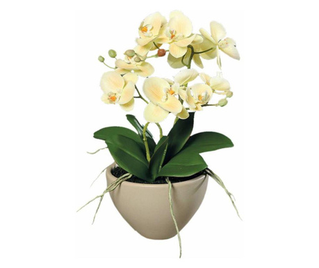 Orhidee artificiala Phalaenopsis crem in vas ceramic, 35 cm  35 cm