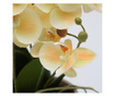 Orhidee artificiala Phalaenopsis crem in vas ceramic, 35 cm  35 cm