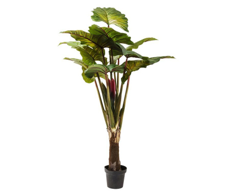 Planta decorativa rainforest green 160cm