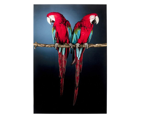 Tablou din sticla twin parrot 80x120 cm