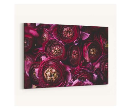 Flori de ranunculus violet inchis, tablou canvas, Botanica