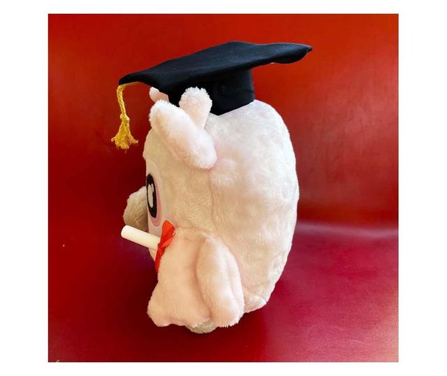 Ballagási bagoly rózsaszín plüss ajándék, talár sapkával és diploma