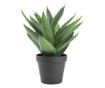 Artificial Aloe Vera Plant in Pot, Natural Look, 30 cm, Green