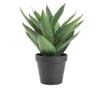 Artificial Aloe Vera Plant in Pot, Natural Look, 30 cm, Green
