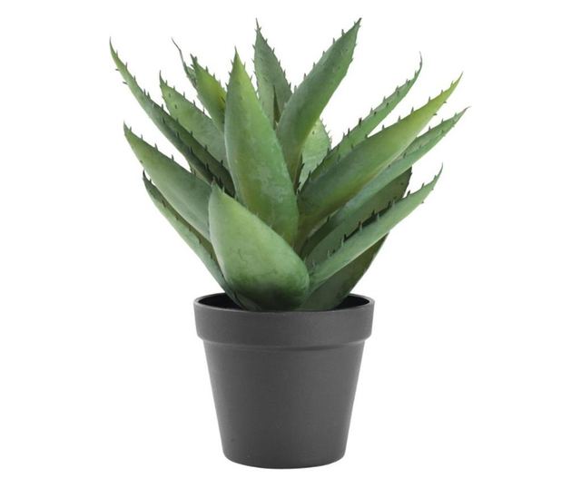 Artificial Aloe Vera Plant in Pot, Natural Look, 30 cm, Green