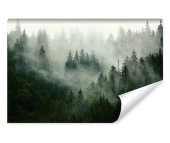 Fototapeta nástěnná STROMY v mlze pohled 3D  400x280cm
