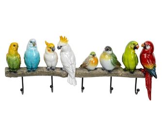 Cuier Exotic Birds