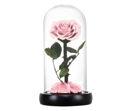 Trandafir criogenat roz pal in cupola de sticla, rezista 25 de ani
