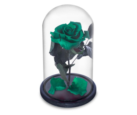 Trandafir criogenat verde inchis in cupola de sticla, rezista 25 ani, cu mesaj