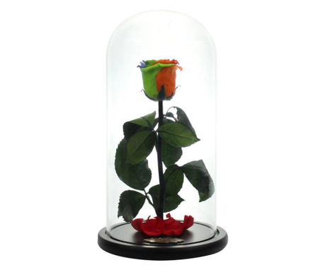 Trandafir criogenat multicolor xl in cupola de sticla, rezista pana la 25 ani