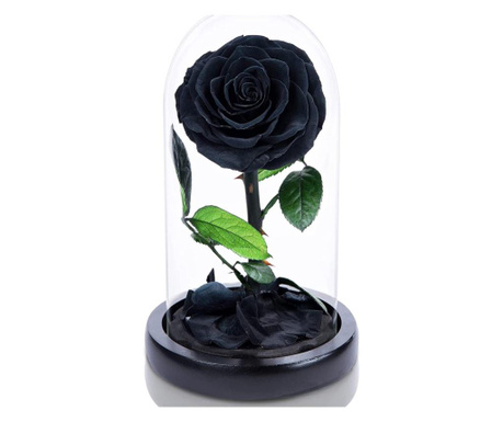 Trandafir criogenat bonita negru in cupola de sticla, rezista 25 ani