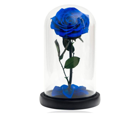 Trandafir criogenat bella albastru in cupola de sticla, rezista pana la 25 ani