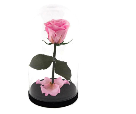 Trandafir criogenat roz xl in cupola sticla, rezista 25 ani