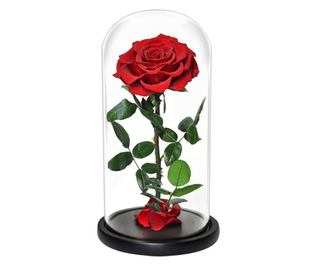 Trandafir criogenat mare rosu in cupola sticla (Ø=9-9,5cm, rezista 25 ani)