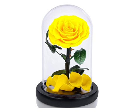 Trandafir criogenat bella galben in cupola sticla, rezista pana la 25 ani