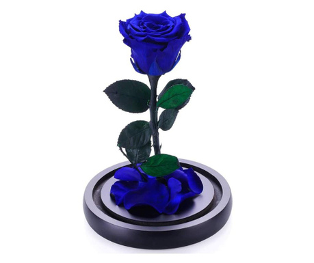 Trandafir Criogenat XL Albastru in Cupola de Sticla, Rezista 25 ani, cu Mesaj scris