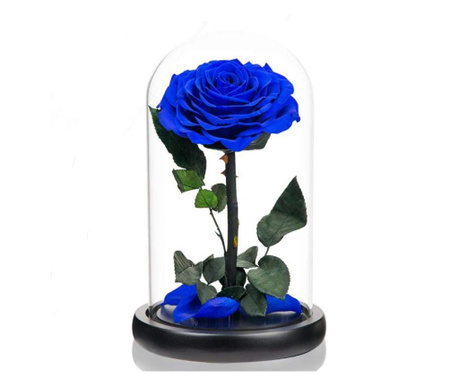 Trandafir criogenat mare albastru in cupola de sticla, rezista pana la 25 ani
