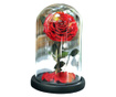 Trandafir criogenat rosu xxl in cupola sticla (Ø=9-9,5cm, rezista 25 ani)