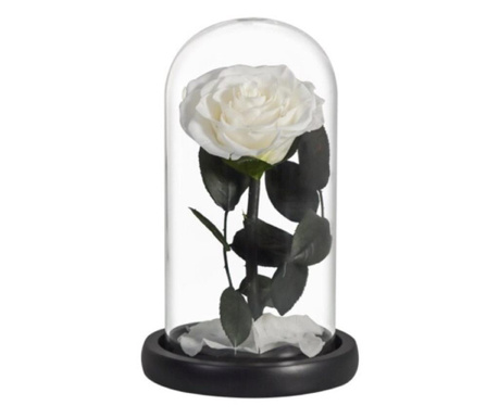 Trandafir criogenat alb bella in cupola sticla, rezista pana la 25 ani